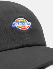 Gorra Dickies Hardwick