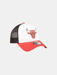 Gorra New Era NBA Chicago Bulls Team Colour