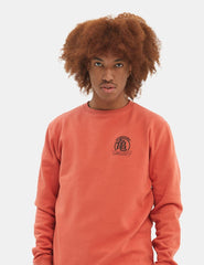 Sudadera Hydroponic DBZ Comic Rojo