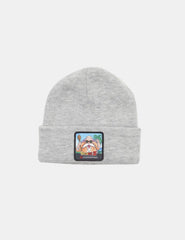 Gorro de Lana Hydroponic Kame Gris