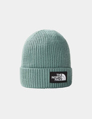 Gorro The North Face Logo Box Verde