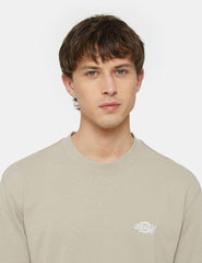 Camiseta Dickies Summerdale Beige