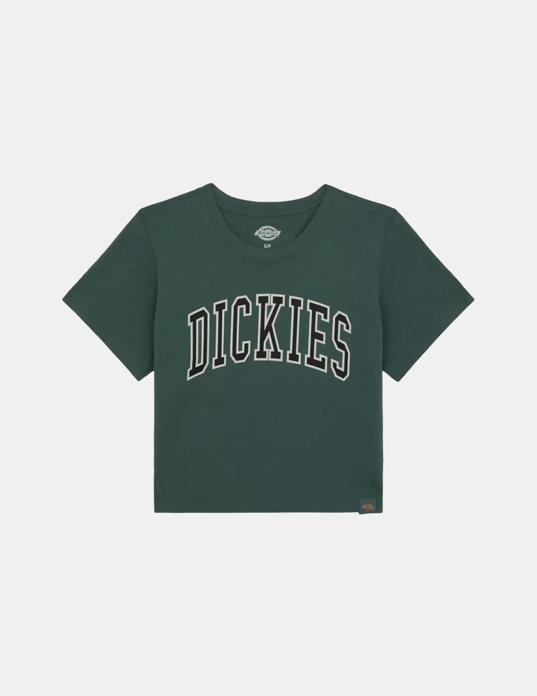 Camiseta Dickies Aitkin Verde