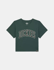 Camiseta Dickies Aitkin Verde