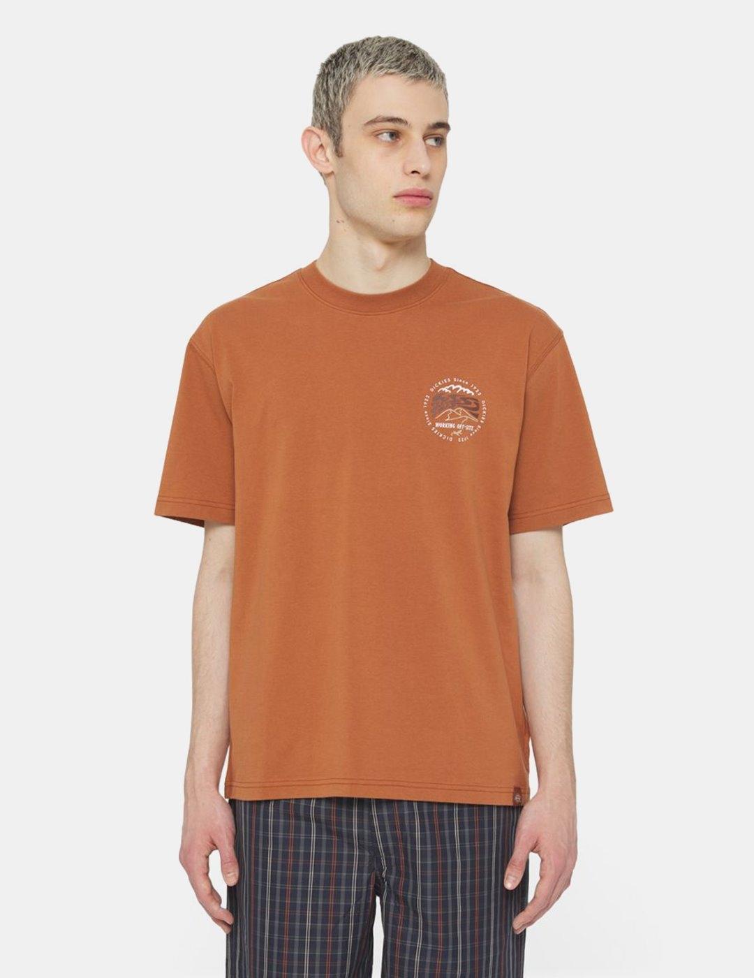 Camiseta Dickies Stanardsville Marrón