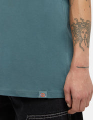 Camiseta Dickies Globe Verde